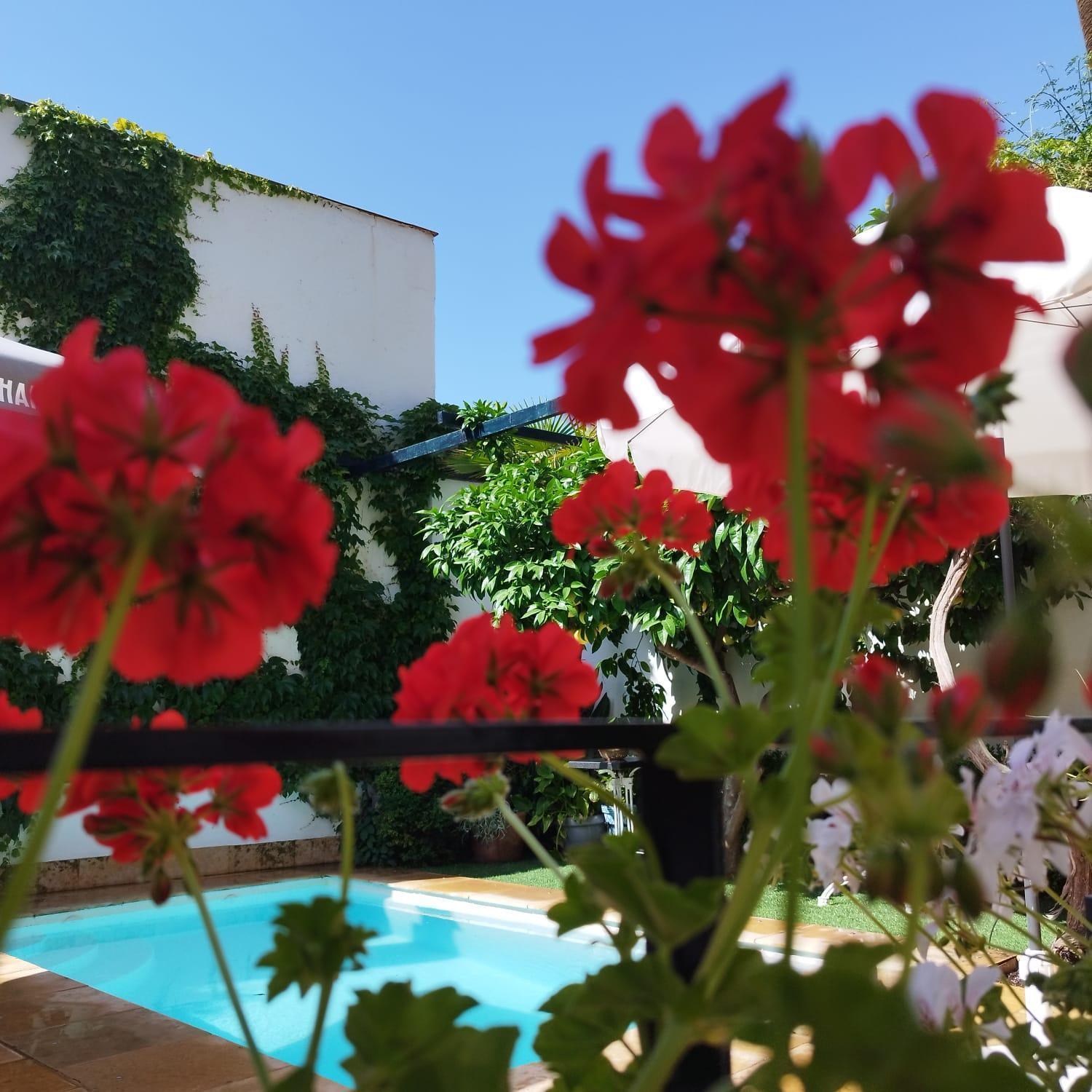 Suite Comares Granada Kültér fotó